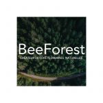 Logo - BeeForest